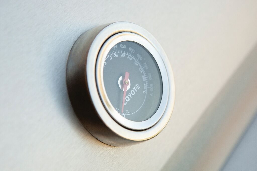 Paragraph 1 (3) – Coyote Thermostat Closeup_preview